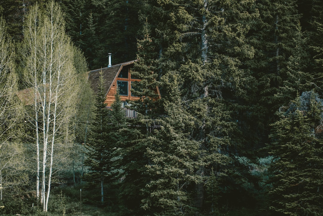 Aspen